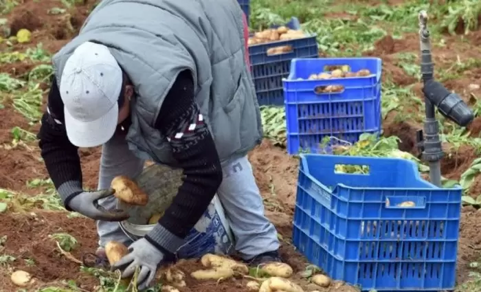 Ξανά στα χαρακώματα για ξένους εργάτες οι συντεχνίες – Κοινή επιστολή στον Υπ. Εργασίας