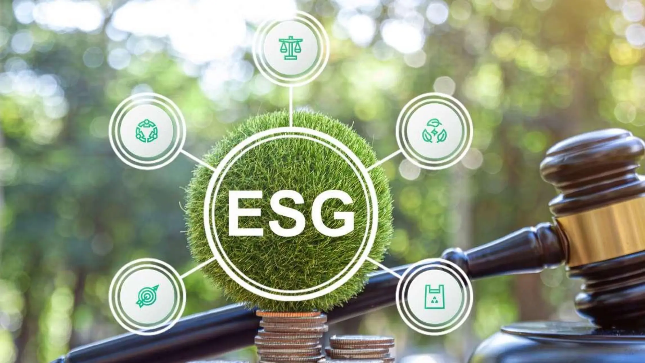 Η νομική διάσταση του ESG και η συμμόρφωση των κυπριακών επιχειρήσεων με τα νέα ευρωπαϊκά πρότυπα