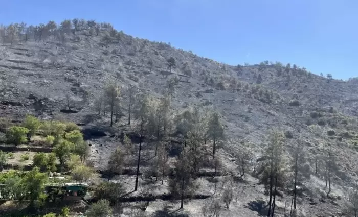 Ένωση Κυπρίων Αγροτών: Να δοθεί προκαταβολή στους καλλιεργητές Φαρμακά