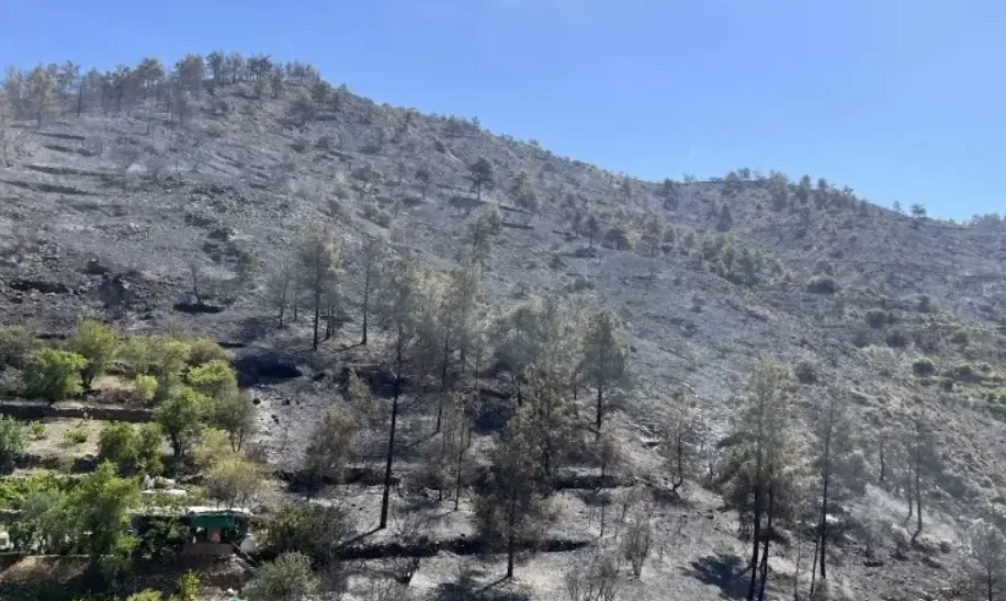 Ένωση Κυπρίων Αγροτών: Να δοθεί προκαταβολή στους καλλιεργητές Φαρμακά