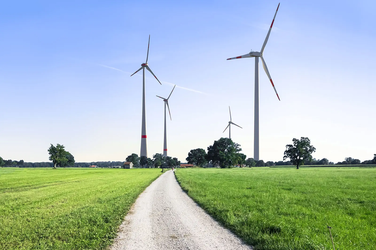 Νέα Ζηλανδία: Πρωτόγνωρος νόμος ζητά από τις τράπεζες να εφαρμόζουν πράσινη πολιτική