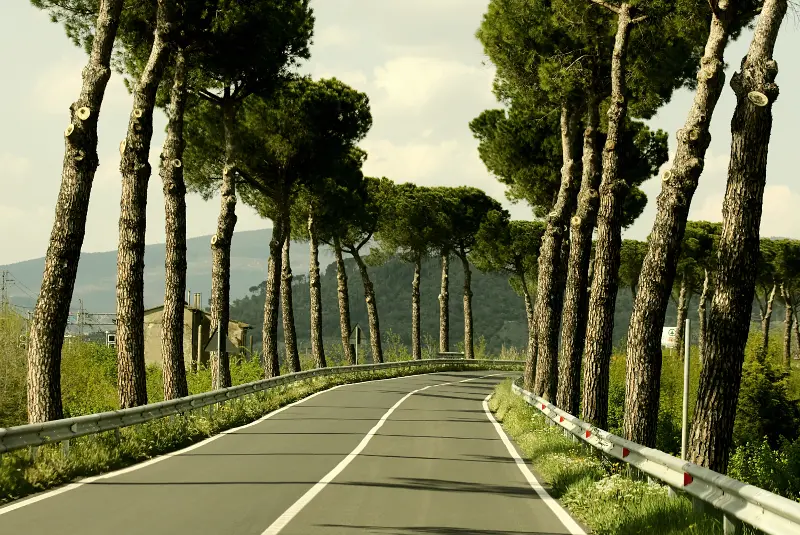 Τουρισμός και αγροτική ανάπτυξη - ανθεκτικός χωρίς αποκλεισμούς