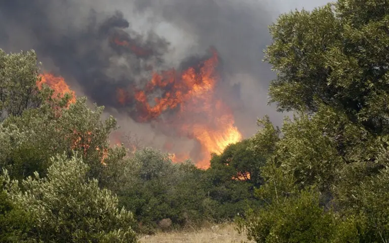 Έγκριση κρατικής ενίσχυσης ύψους €2,23 εκατ. για την αποκατάσταση ζημιών από πυρκαγιές