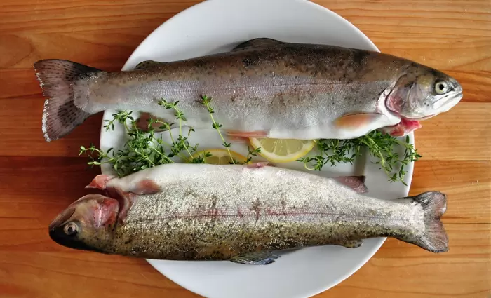 Η ΕΕ θέλει να ανανεώσει τους δασμούς για τις πέστροφες Τουρκίας