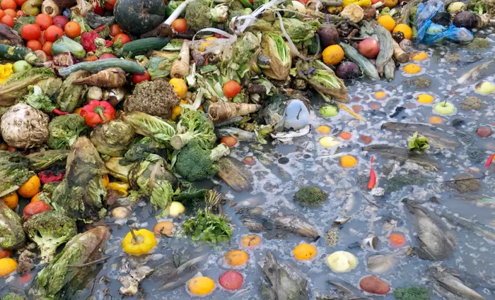 Στον κάλαθο καταλήγουν 2 δισ. τόνοι τρόφιμα ετησίως