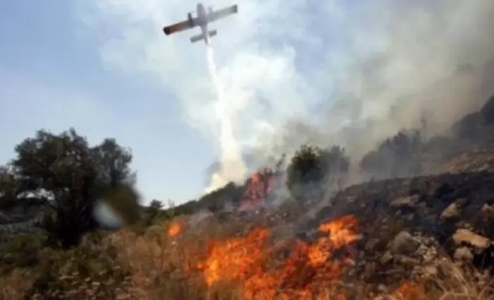 Πυρά Ελεγκτικής Υπηρεσίας προς Τμήμα Δασών: «Αποτύχατε»