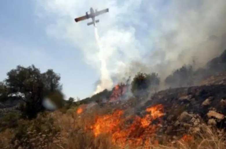 Πυρά Ελεγκτικής Υπηρεσίας προς Τμήμα Δασών: «Αποτύχατε»