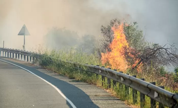Αυτούσιες στη δημοσιότητα οι εκθέσεις για τις πυρκαγιές Λεμεσού