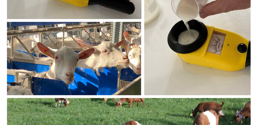 Code: Re-farm – Αναδιαμόρφωση κτηνοτροφικών συστημάτων με γνώμονα τη βιωσιμότητα και την ποιότητα των προϊόντων