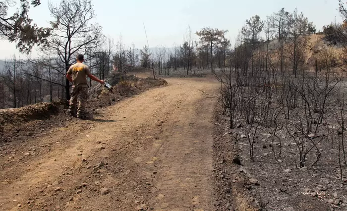 Αυτά είναι τα μέτρα στήριξης για τους πυρόπληκτους αγρότες