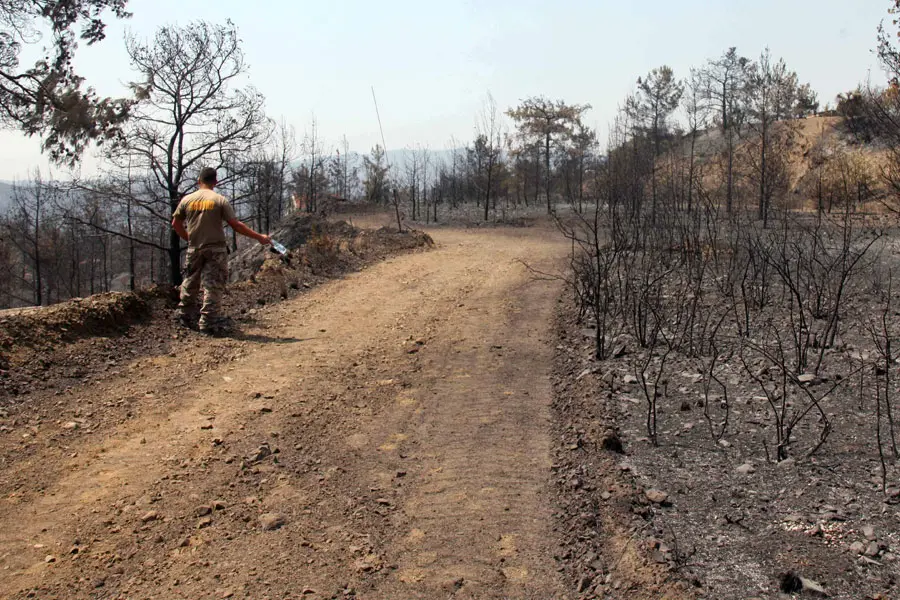 Αυτά είναι τα μέτρα στήριξης για τους πυρόπληκτους αγρότες