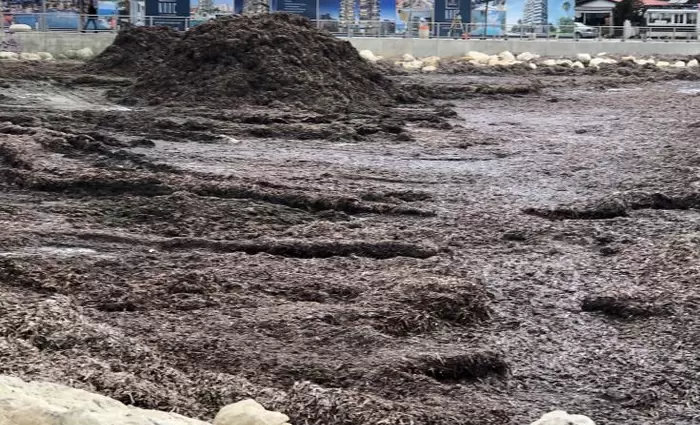 Οι Δήμοι - Ξενοδόχοι καταβάλουν κονδύλια για αποκομιδή των φυκιών