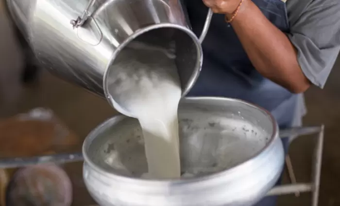 Κτηνοτρόφοι: Δεν υπάρχει έλλειψη αιγοπρόβειου γάλακτος