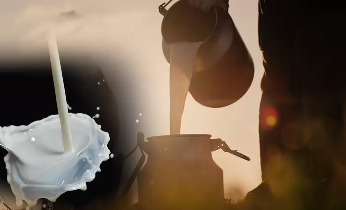 Γάλα: Στα 160 εκατ. τόνους η ευρωπαϊκή παραγωγή - Αιγοπρόβειο το 1/5 στην Κύπρο