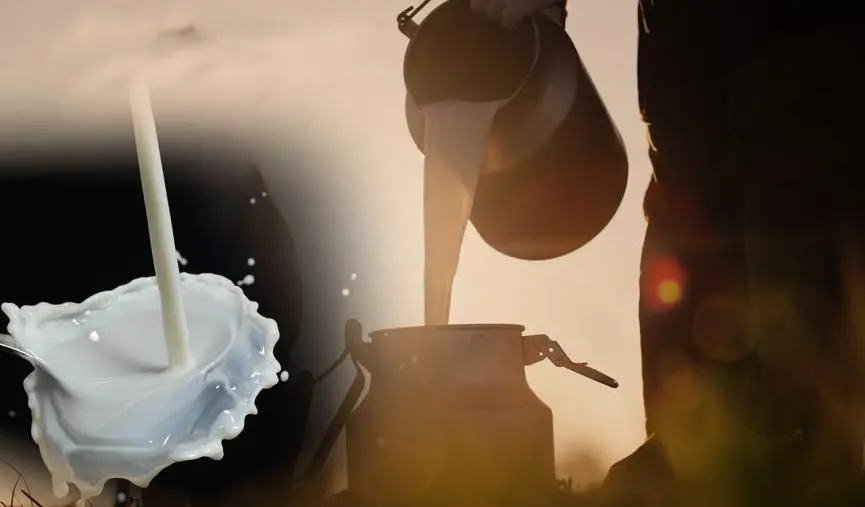 Αυξήθηκαν οι παραδόσεις αγελαδινού γάλακτος τον Μάρτιο κατά 3,9%