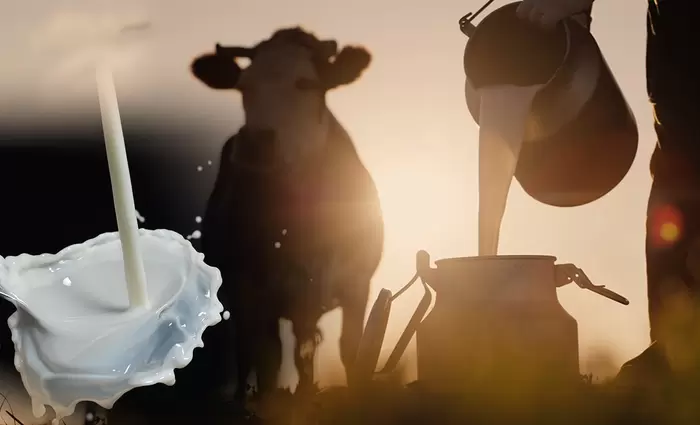 Γάλα: Διατηρεί τις δυνάμεις του ο τομέας – Οι προκλήσεις της επόμενης 12ετίας