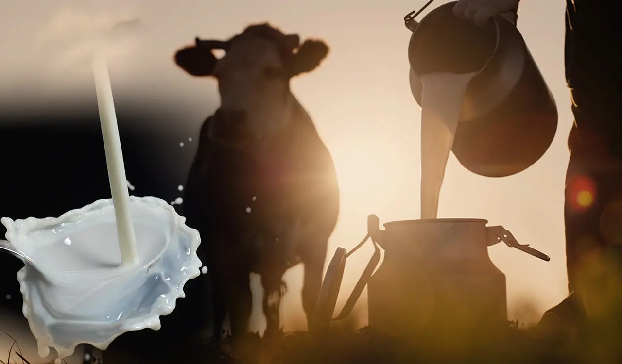 Γάλα: Διατηρεί τις δυνάμεις του ο τομέας – Οι προκλήσεις της επόμενης 12ετίας