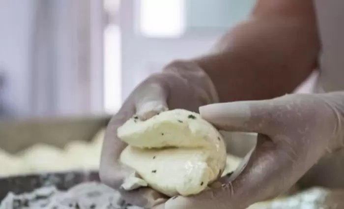 Η τελική ευθεία για την κατοχύρωση του χαλουμιού και τα πολιτικά παιχνίδια