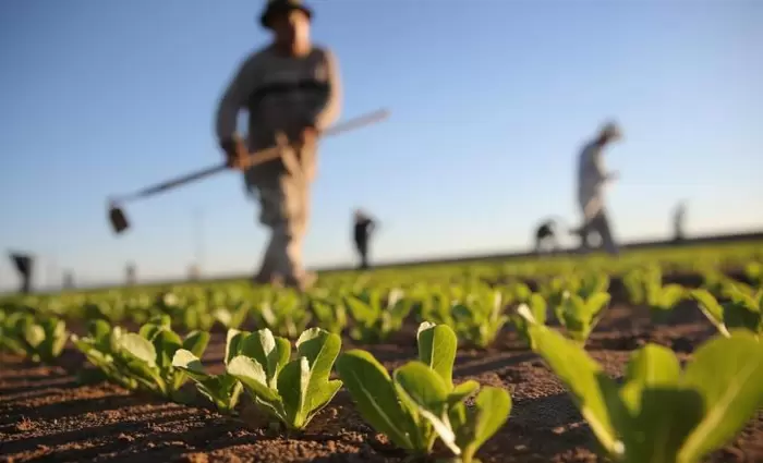 Οδηγό με πρακτικές εξοικονόμησης νερού έστειλε το Τμ. Γεωργίας σε 25.000 γεωργούς