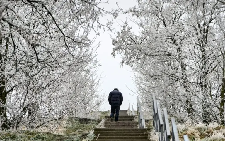 Γερμανία: Τα νοικοκυριά πληρώνουν 31% περισσότερα για ενέργεια από το 2021