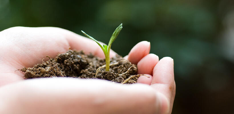 «Πράσινο» αυτοκίνητο, από την Ελληνική Τράπεζα
