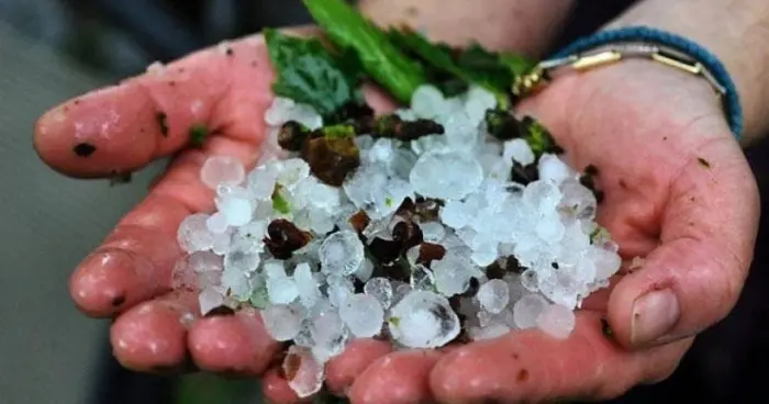 Υπ. Γεωργίας: Θα στηριχθούν όσοι πλήγηκαν από χαλαζόπτωση