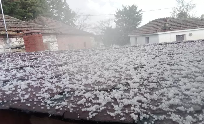 ΓΔ Υπ. Γεωργίας: Θα δοθεί αποζημίωση αν χρειάζεται για ζημιές από χαλάζι