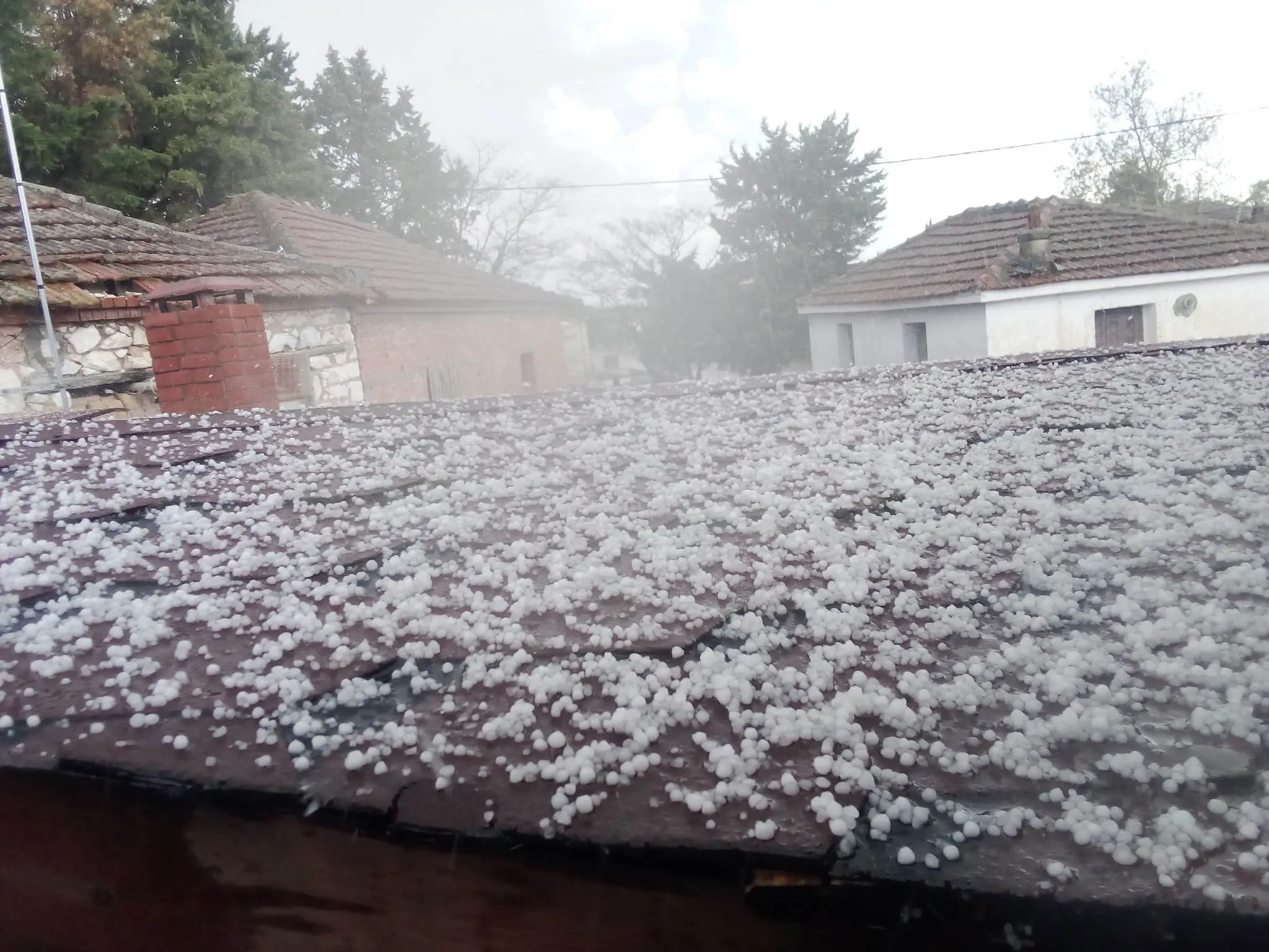 ΓΔ Υπ. Γεωργίας: Θα δοθεί αποζημίωση αν χρειάζεται για ζημιές από χαλάζι