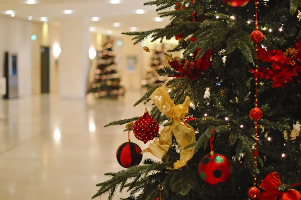 Στο 80% η πληρότητα των ξενοδοχείων της Πάφου τα χριστούγεννα