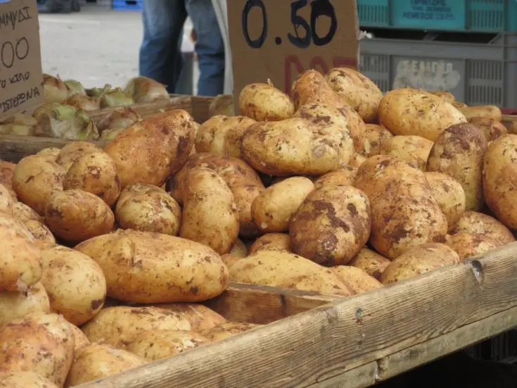 Το Υπ. Εμπορίου προωθεί τις εξαγωγές πατάτας σε Γερμανία, Αυστρία και Βέλγιο