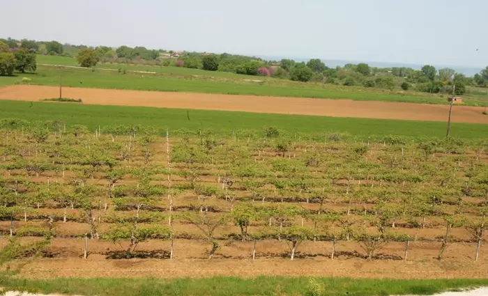 ΚΟΑΠ: Καταβολή ενισχύσεων πέραν των €9 εκ. σε δικαιούχους