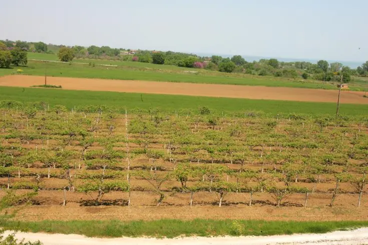 ΚΟΑΠ: Καταβολή ενισχύσεων πέραν των €9 εκ. σε δικαιούχους
