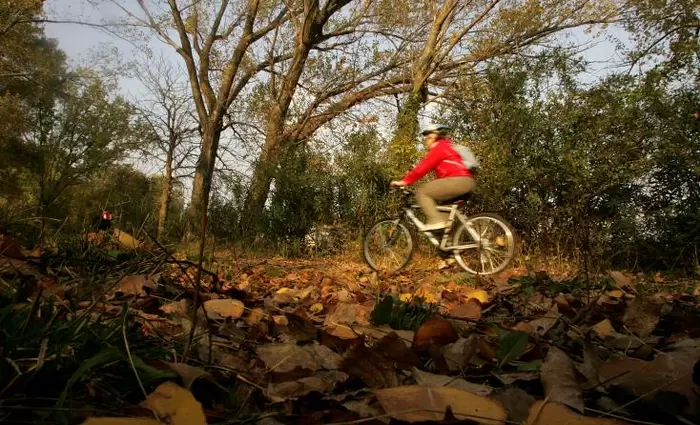 Σχέδιο κρατικών χορηγιών για συστήματα οικολογικής διαχείρισης