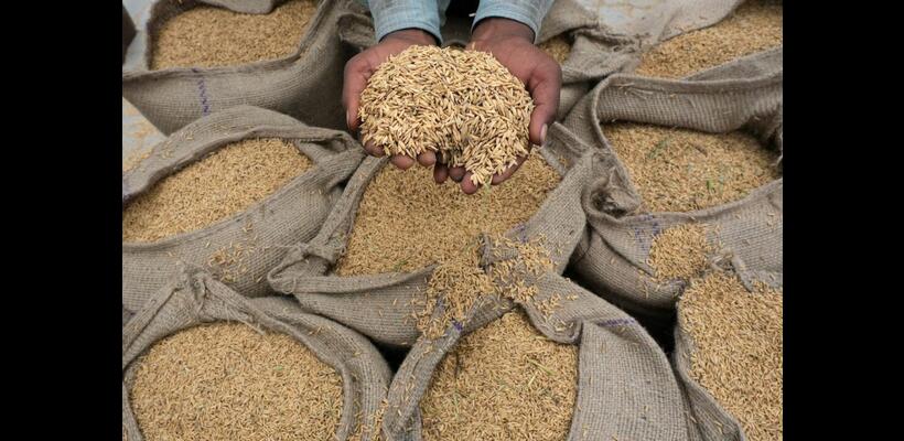 Ανάσα στις τιμές του ρυζιού λόγω Ινδίας – Χαλάρωσε τους περιορισμούς στις εξαγωγές