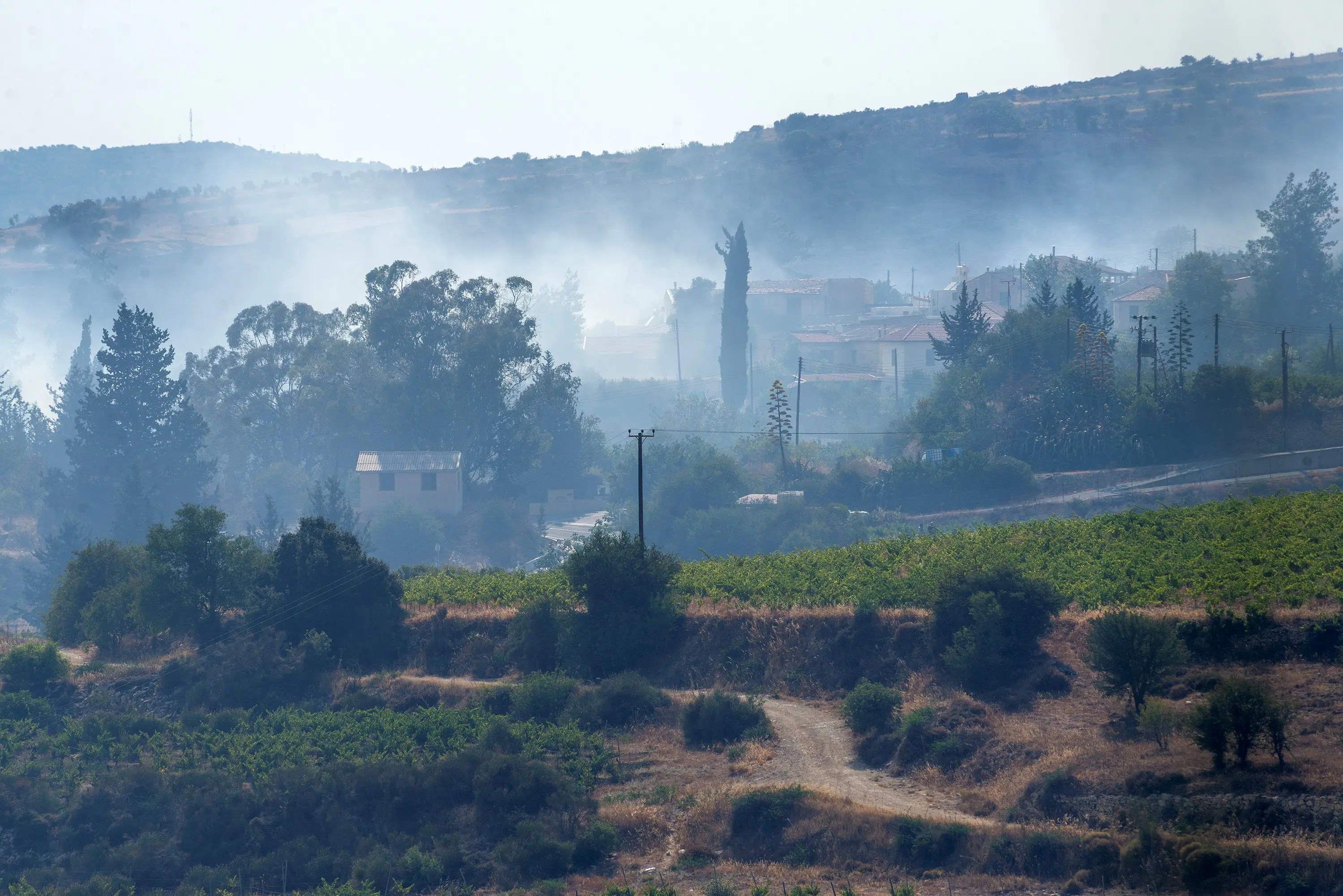 Αποζημιώσεις για καλλιέργειες «συντομότερα απ' ότι συνήθως» ο στόχος του Τμ. Γεωργίας