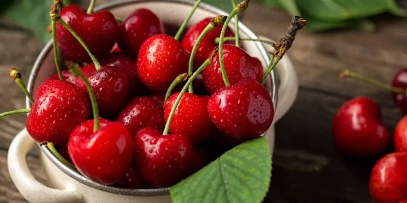 Στα €1,6 εκ. η αξία παραγωγής κερασιών στην Κύπρο, λέει ο Υπ. Γεωργίας