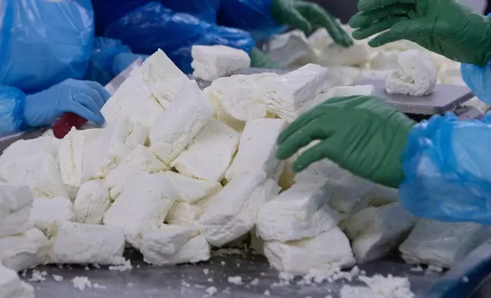 Θετική για την κυπριακή οικονομία η απόρριψη προσφυγής για το χαλλούμι