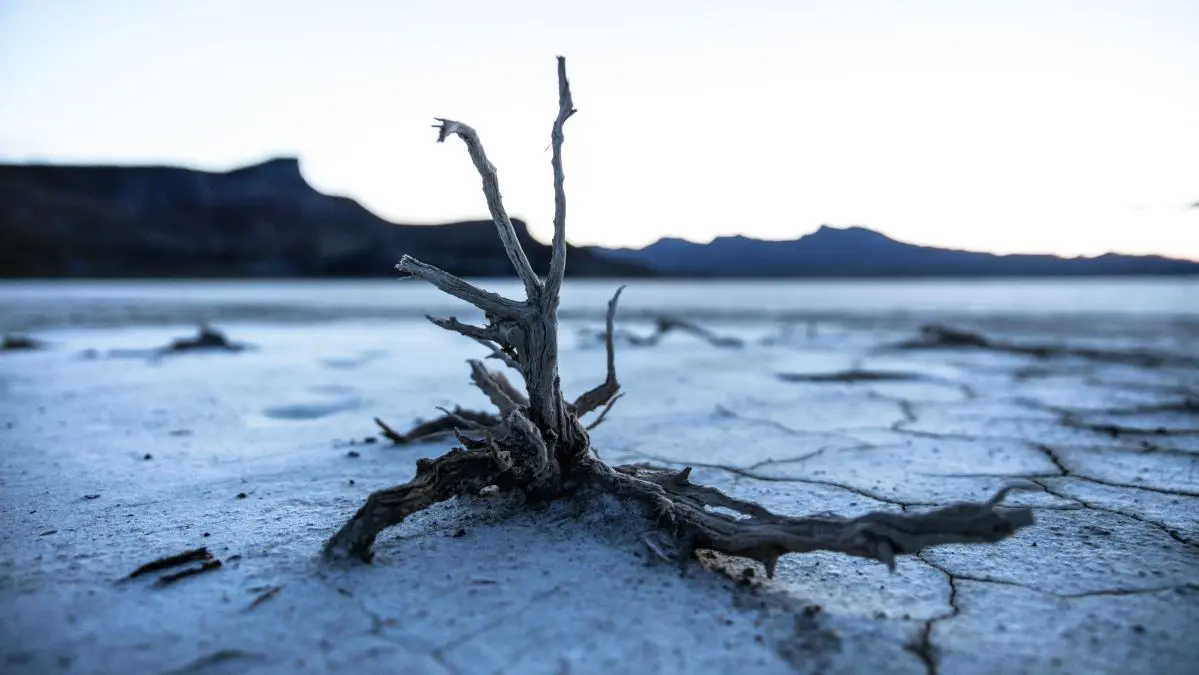 Χρηματοδότηση εκατομμυρίων στο Ινστιτούτο Κύπρου για την κλιματική αλλαγή