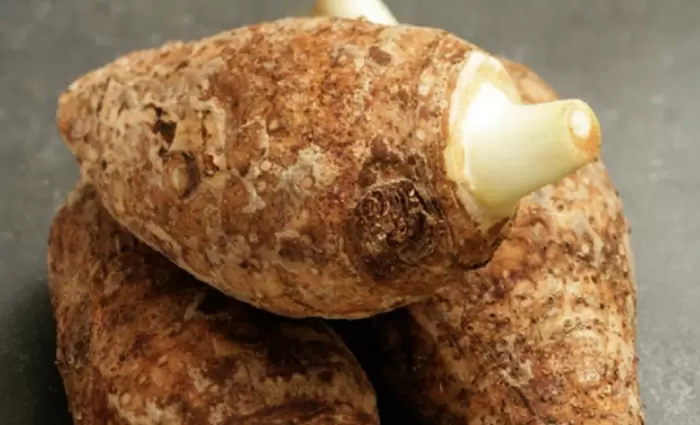 Στο φεστιβάλ Χαλκιδικής το κυπριακό κολοκάσι 