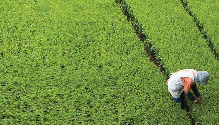 KPMG GPI 2019: Η Ευρώπη πρωτοστατεί στο παγκόσμιο επιχειρηματικό γίγνεσθαι