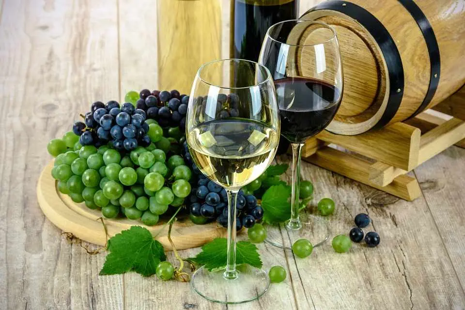 Cyprus Wine Show: Αναδεικνύει το κυπριακό κρασί