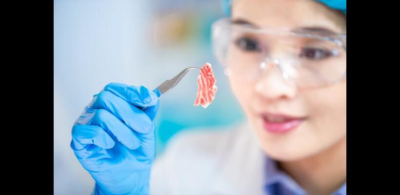 Το τεχνητό «κρέας» δεν είναι κρέας: Μετά τα ράφια, η Ε.Ε. βάζει «μπλόκο» και στη λέξη