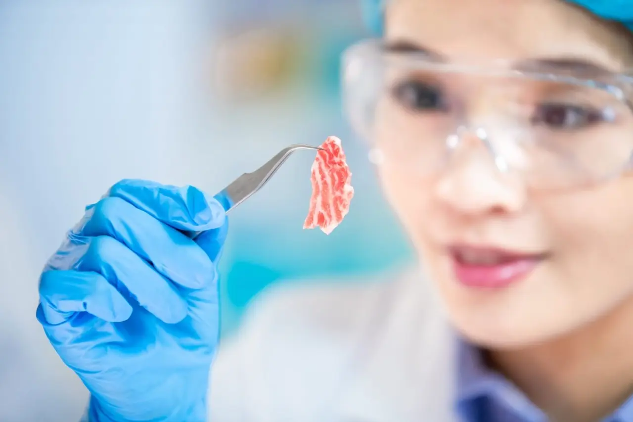 Το τεχνητό «κρέας» δεν είναι κρέας: Μετά τα ράφια, η Ε.Ε. βάζει «μπλόκο» και στη λέξη