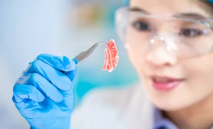 Το τεχνητό «κρέας» δεν είναι κρέας: Μετά τα ράφια, η Ε.Ε. βάζει «μπλόκο» και στη λέξη