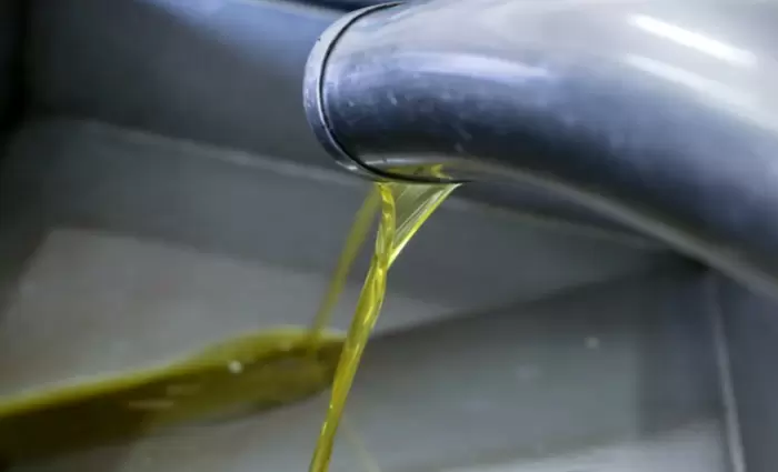 Guardian για λάδι: Σπάει κάθε ρεκόρ η νοθεία στην ΕΕ