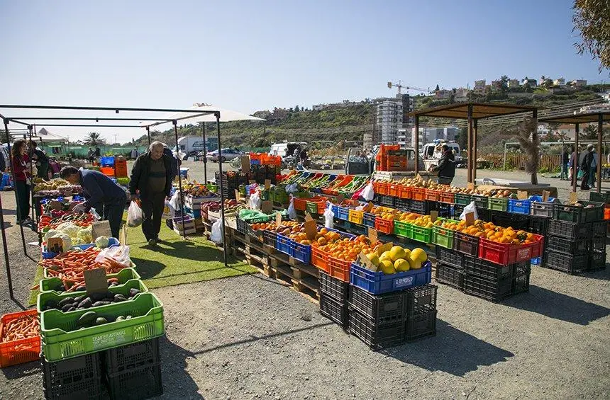 Καθημερινή ενημέρωση για τιμές αγροτικών προϊόντων από ΣΕΔΙΓΕΠ Σωτήρας
