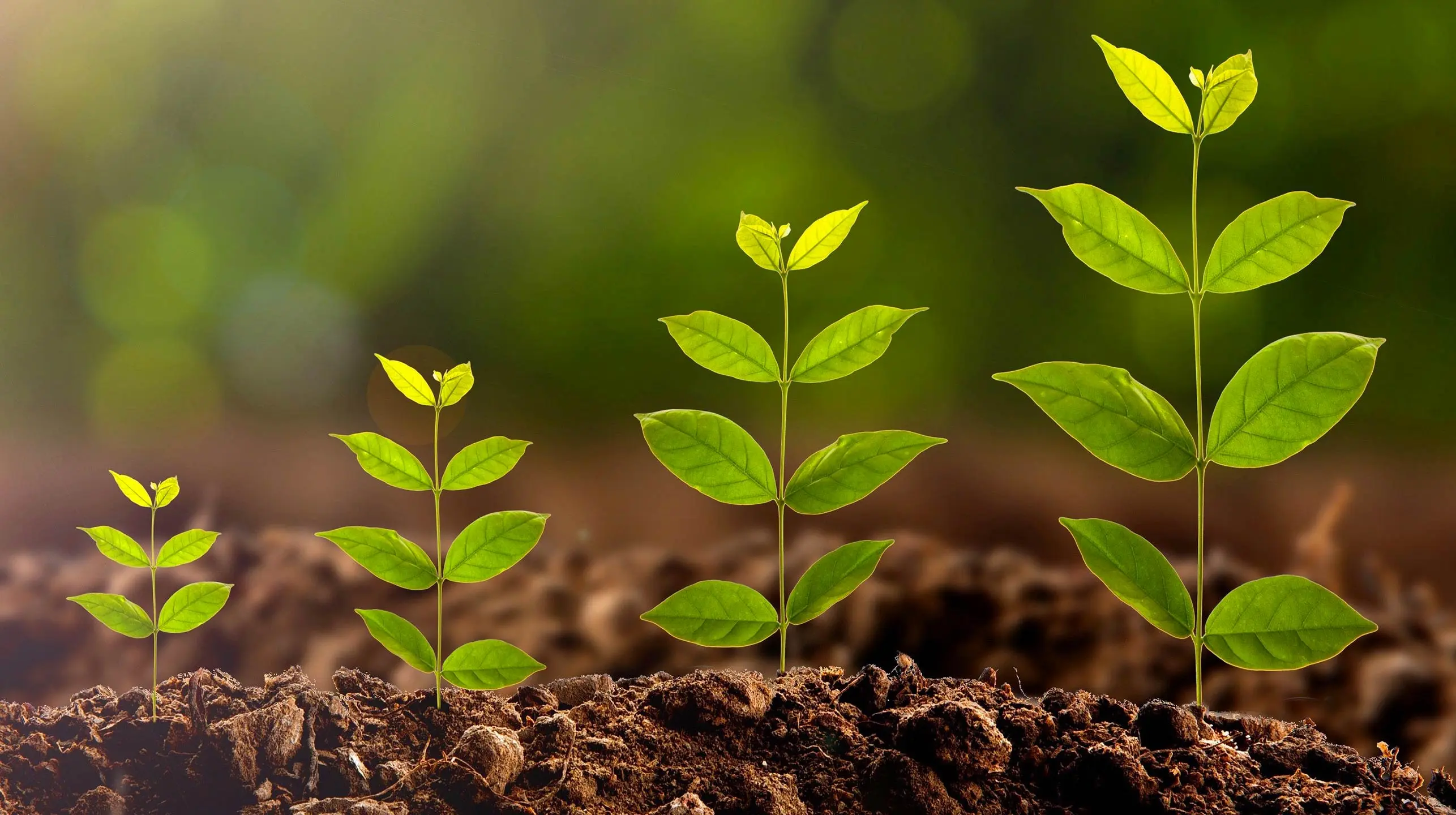 Η Κύπρος, ως πόλος έλξης επενδύσεων