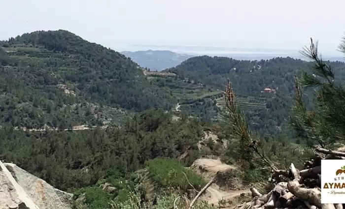 Κτήμα Δυμάτου: Ένα όνειρο που έγινε πραγματικότητα