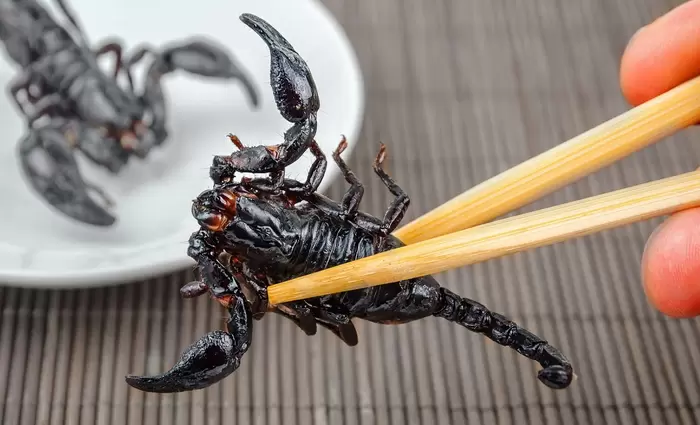 Πόσο τζίρο κάνει το εμπόριο ζωντανών και άγριων στην Κίνα; (αριθμοί)