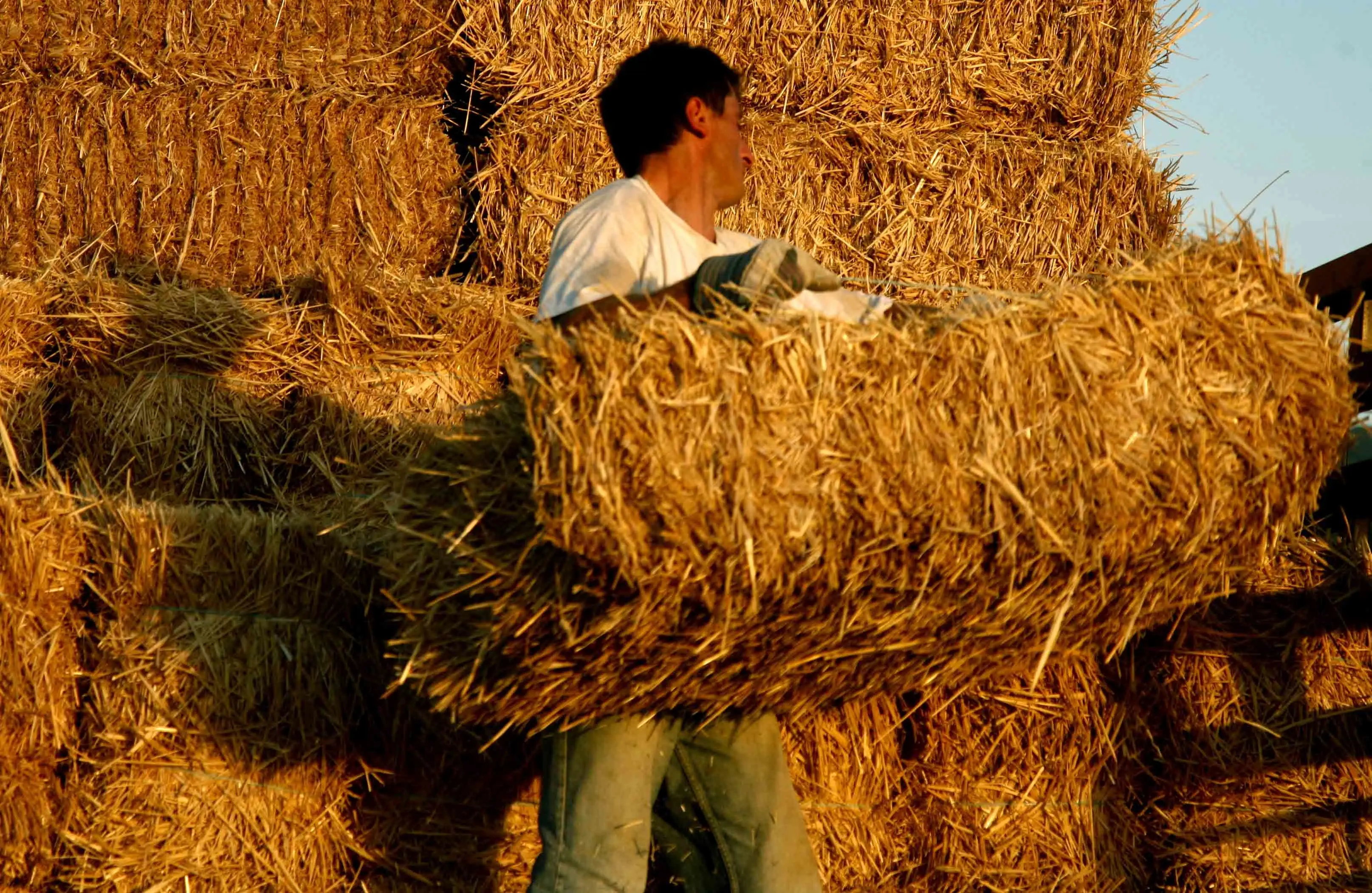 ΠΕΟ: Συνέχιση διαλόγου για στρατηγική αλλοδαπών εργαζομένων